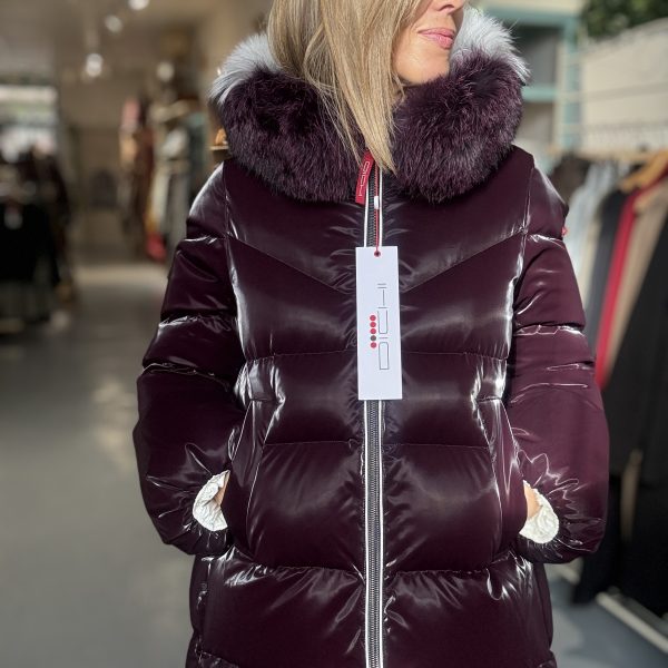 MODELO ALITA CIRUELA